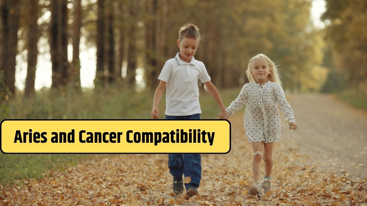 Aries and Cancer Compatibility