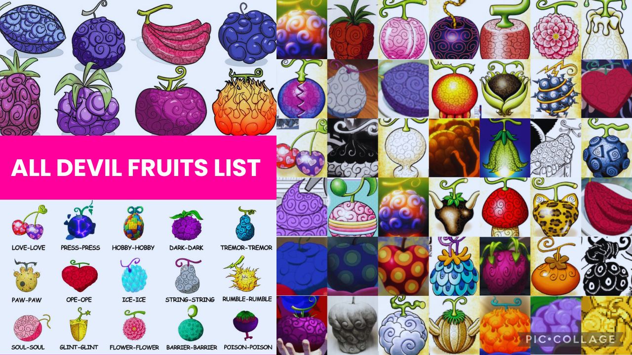 All Devil Fruits List | Every Devil Fruit List With Pictures